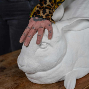 Door het kijkglas, Anneke Lauwaert, 2019