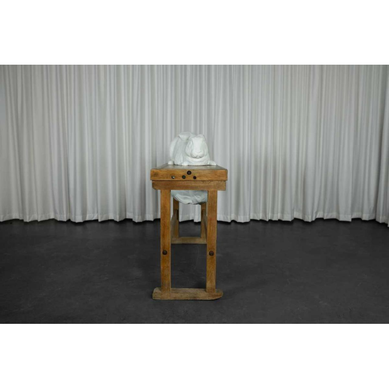 Door het kijkglas, Anneke Lauwaert, 2019