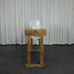 Door het kijkglas, Anneke Lauwaert, 2019