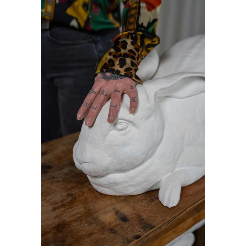 Door het kijkglas, Anneke Lauwaert, 2019