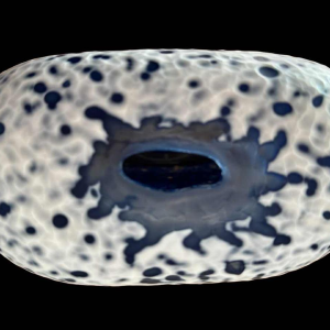 Xavier le Normand (1978-): sculpture