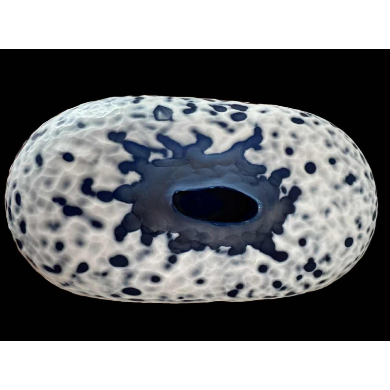 Xavier le Normand (1978-): sculpture