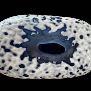 Xavier le Normand (1978-): sculpture