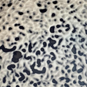 Xavier le Normand (1978-): beeldhouwkunst