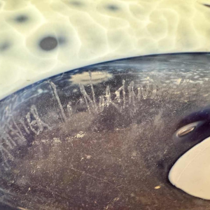 Xavier le Normand (1978-): beeldhouwkunst