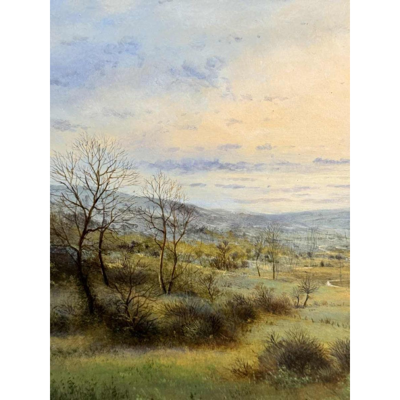 Olivier De Nato “Venenvlakte” schilderij olieverf op paneel