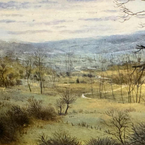 Olivier De Nato “Venenvlakte” schilderij olieverf op paneel