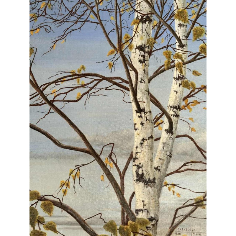 Roger CASTELEYN « Redpoll on a birch branch »