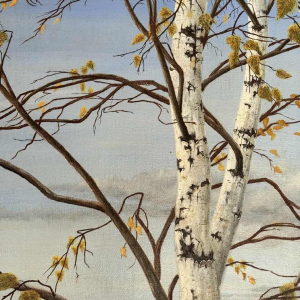 Roger CASTELEYN « Redpoll on a birch branch »