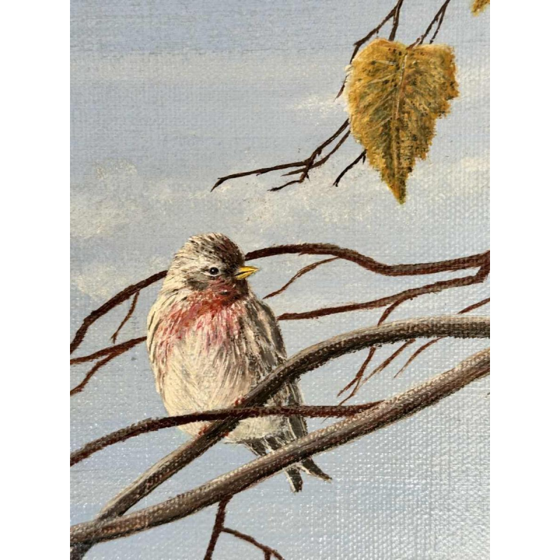 Roger CASTELEYN « Redpoll on a birch branch »
