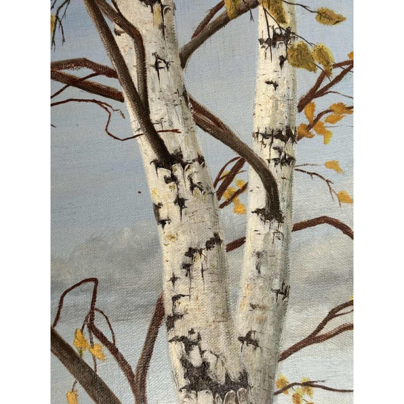 Roger CASTELEYN « Redpoll on a birch branch »