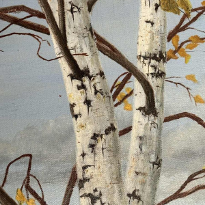 Roger CASTELEYN « Redpoll on a birch branch »