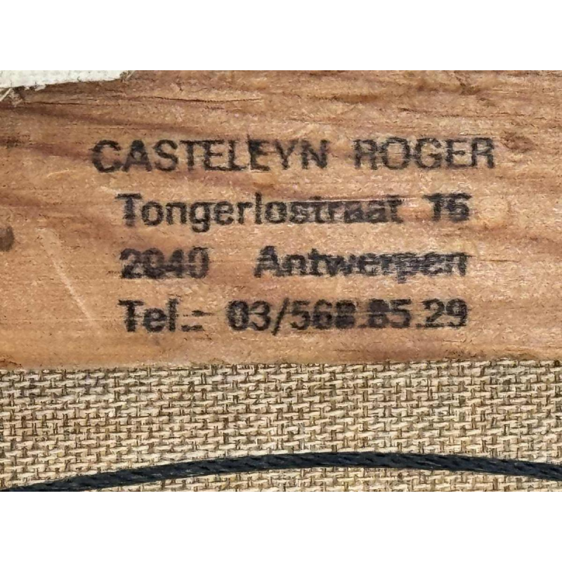 Roger CASTELEYN « Sizerin flammé sur une branche de bouleau »