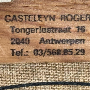 Roger CASTELEYN « Sizerin flammé sur une branche de bouleau »