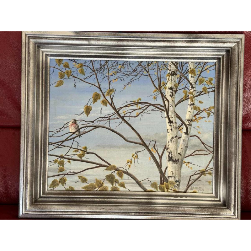 Roger CASTELEYN « Sizerin flammé sur une branche de bouleau »