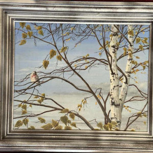 Roger CASTELEYN « Redpoll on a birch branch »