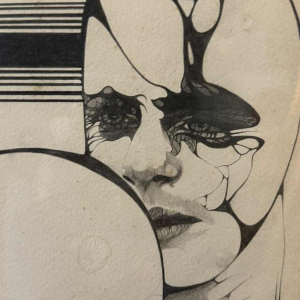 Jean-Luc FLEBUS (1948-): «  Masques »