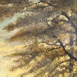 Olivier Henri BOSERET (1924-2005): « Namur - La maison rose »