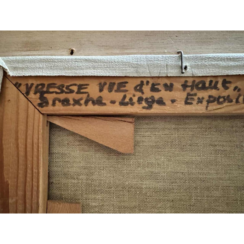 Marie LAMBREXHE " Vresse, vue d'en haut " olieverf op doek