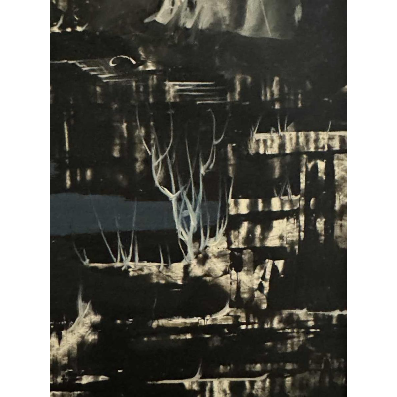 Marcel DELMOTTE (1901-1984)