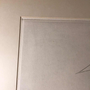 Anne Body " Elle est pourrie " 1967, gravure sur papier 1/36