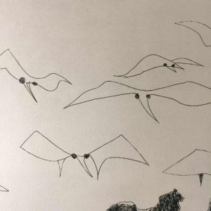 Anne Body " Elle est pourrie " 1967, gravure sur papier 1/36