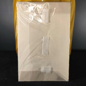 Anne Body " Le Parasite du Chat ", gravure signée, datée 1961 et numérotée 1/9