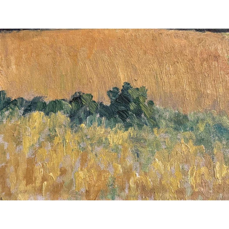 Eugène COLIGNON “Landschap in de streek van Namen” schilderij olieverf op doek