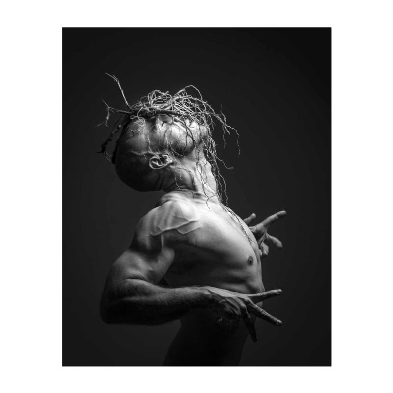 Frt Photo (Frédéric Roullet), « No title » series « Alga Alligator - Algorie » Impression sur Hahnemühle Photo Rag