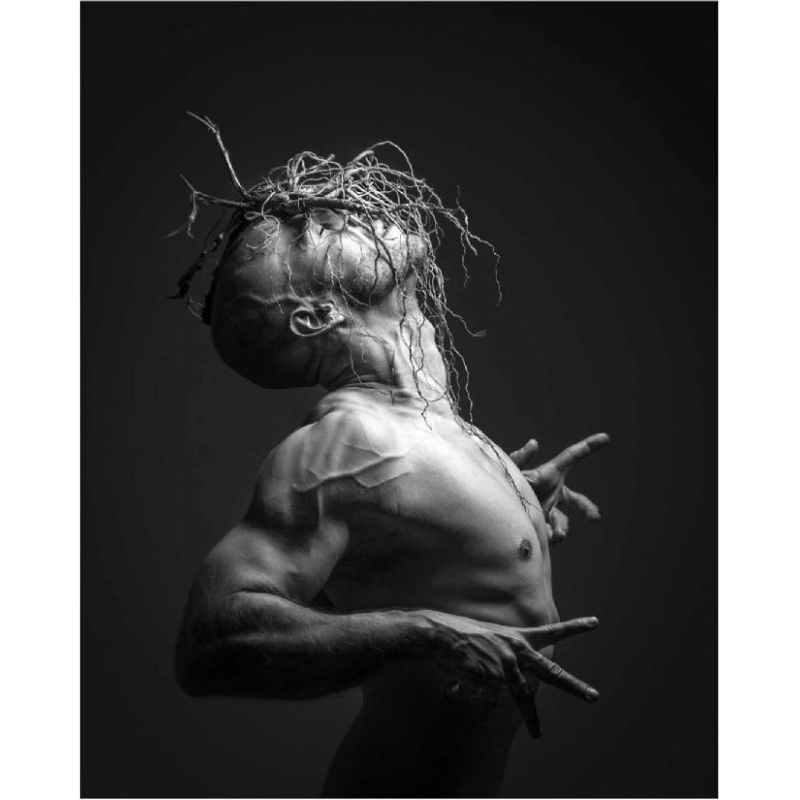 Frt Photo (Frédéric Roullet), « No title » series « Alga Alligator - Algorie » Impression sur Hahnemühle Photo Rag