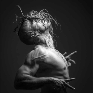 Frt Photo (Frédéric Roullet), « No title » series « Alga Alligator - Algorie » Impression sur Hahnemühle Photo Rag