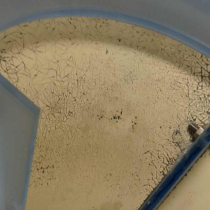 Petitot : a pair of French 1935 art deco corner wall sconces ... France