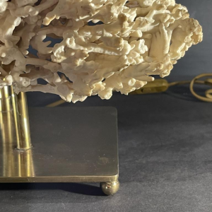 Willy Daro (attr) Koraal lamp Hollywood Regency, verguld bronzen voet ,1970s