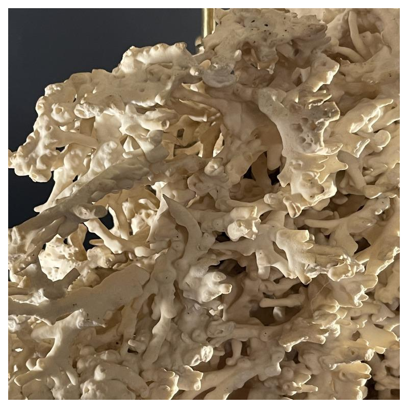 Willy Daro (attr) Koraal lamp Hollywood Regency, verguld bronzen voet ,1970s