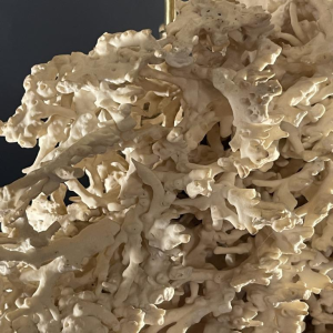 Willy Daro (attr) Koraal lamp Hollywood Regency, verguld bronzen voet ,1970s