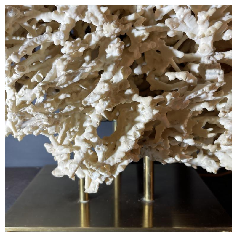 Willy Daro (attr) Koraal lamp Hollywood Regency, verguld bronzen voet ,1970s