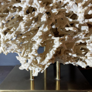 Willy Daro (attr) Koraal lamp Hollywood Regency, verguld bronzen voet ,1970s