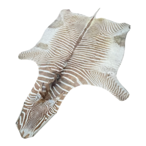 Zebra skin, floor carpet / wall tapestry, ca 1950