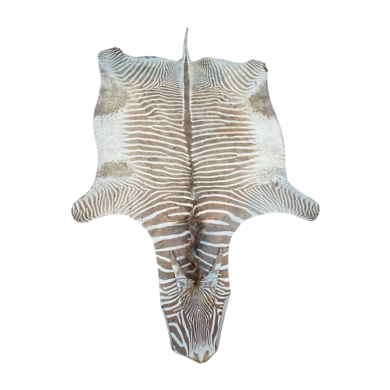 Peau de Zèbre, tapis de sol / tapisserie murale, ca 1950