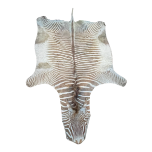 Zebra skin, floor carpet / wall tapestry, ca 1950