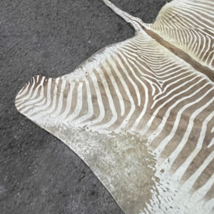 Peau de Zèbre, tapis de sol / tapisserie murale, ca 1950