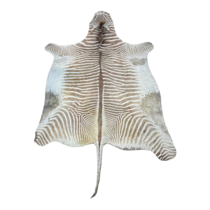 Zebra skin, floor carpet / wall tapestry, ca 1950