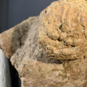 MARIO PERUGGINI, Naakte Vrouw, Terracotta Sculptuur, Uniek Stuk, 1960s