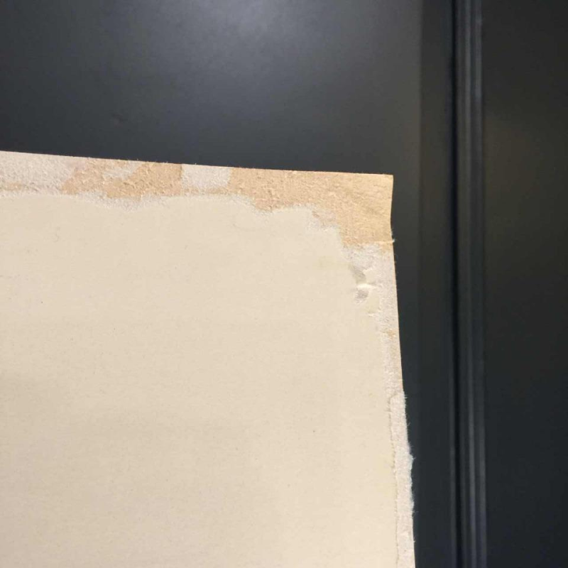 Anne Body " De grote strijd " Haan en Duivin, gemengde techniek op papier, 1965