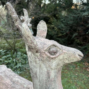 Garden sculpture in patinated cement representing a deer, mid-20th century