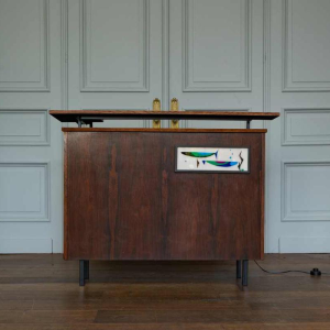 Vintage rosewood bar cabinet with backlit fish motif, Italy, ca 1970