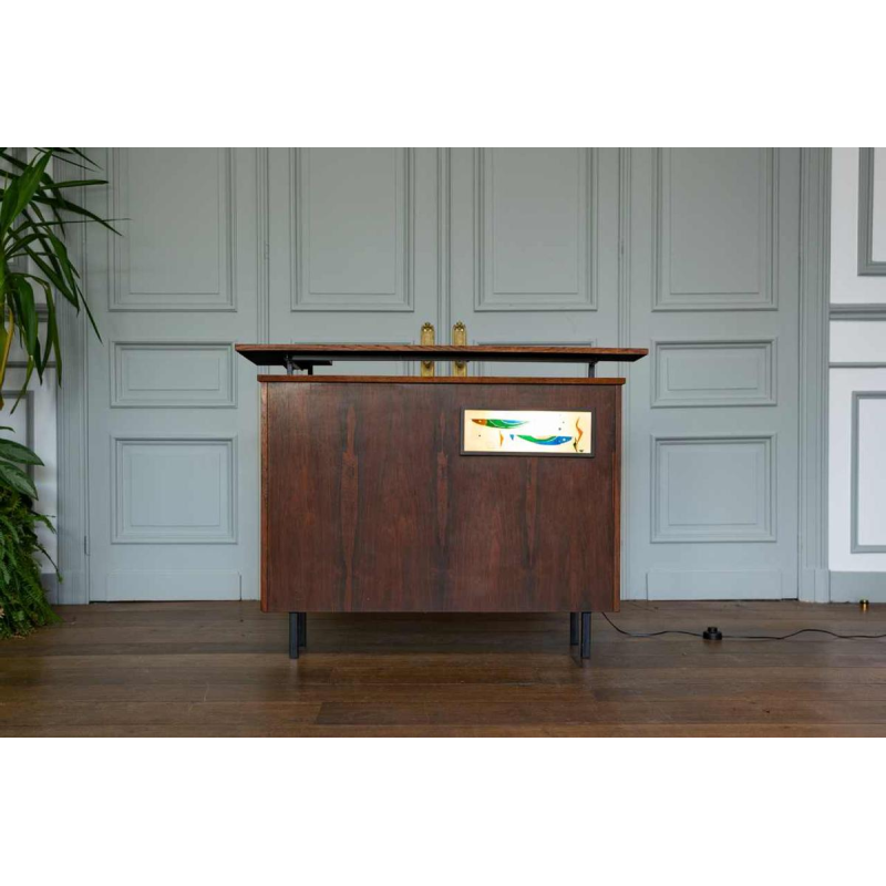 Meuble bar en palissandre vintage à décor rétro-éclairé de poissons, Italie, ca 1970