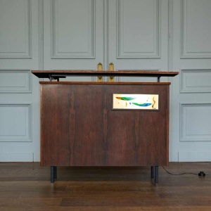 Vintage palissanderhouten barkast met verlicht vismotief, Italië, ca 1970