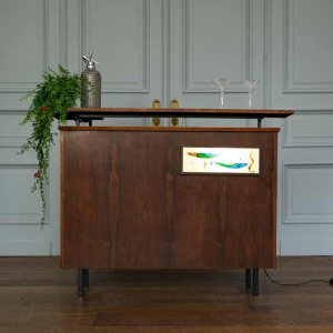 Vintage rosewood bar cabinet with backlit fish motif, Italy, ca 1970