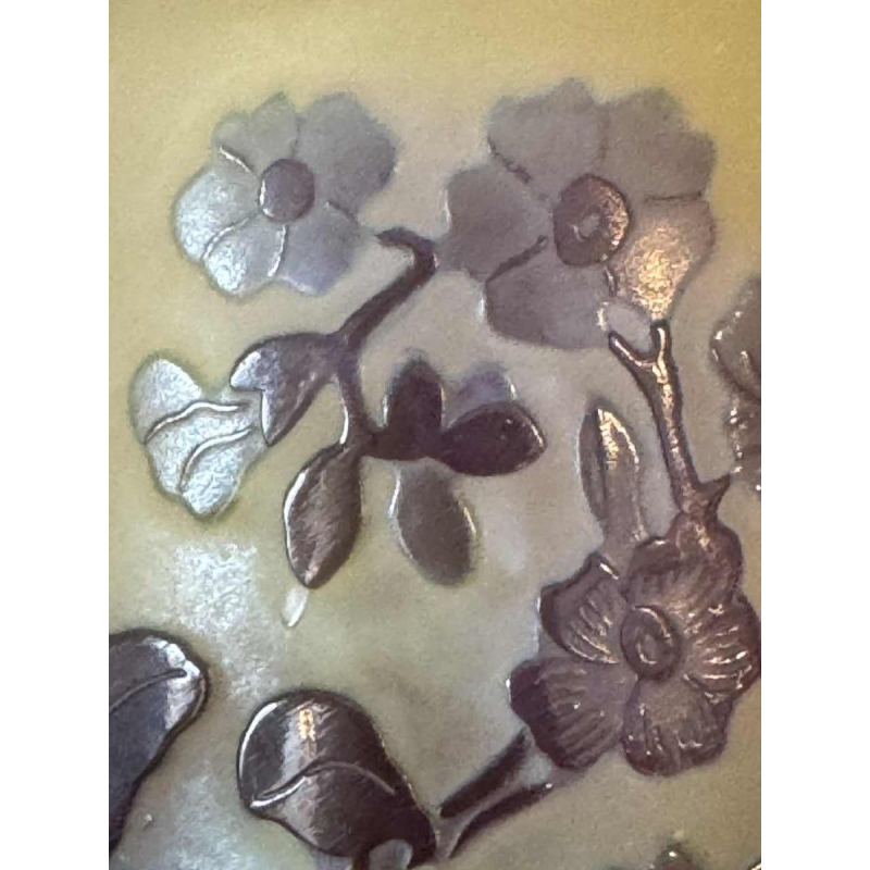 Atelier Emile GALLÉ vaas van meerlaags glas met bloemendecor